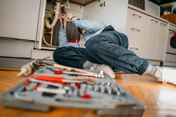 Best Commercial Plumbing Services  in Wliamsvle, IL