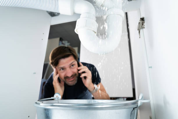 Best Affordable Plumber Near Me  in Wliamsvle, IL