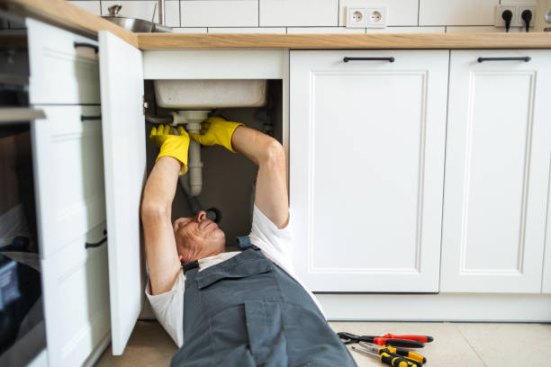 Best Same-Day Plumbing Service  in Wliamsvle, IL