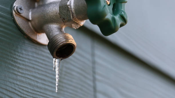 Best Drain Cleaning Services  in Wliamsvle, IL